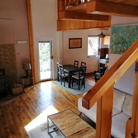 Chalet Vikendica Vlasic Hana
